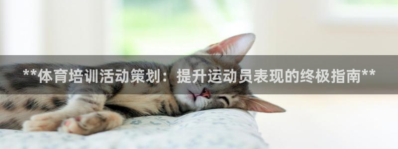 极悦平台和蓝狮平台区别大吗：**体育培训活动策划：提