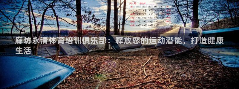 极悦娱乐代理多少钱一个月：廊坊永清体育培训俱乐部：释