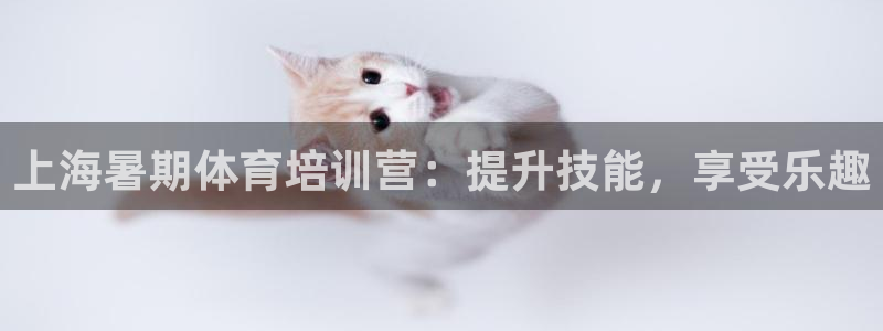 极悦平台用户评价怎么样：上海暑期体育培训营：提升技能