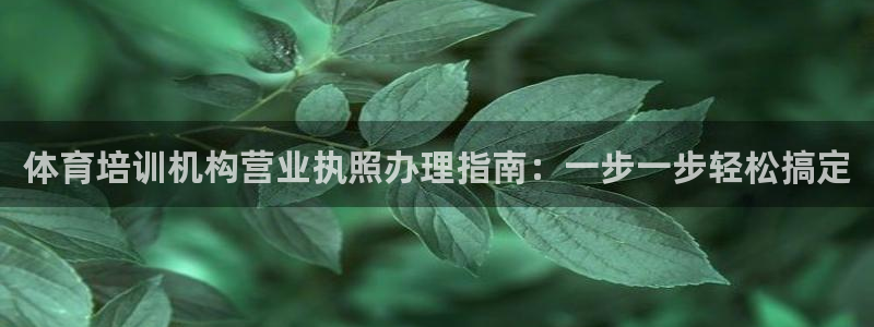极悦平台代理怎么做的：体育培训机构营业执照办理指南：