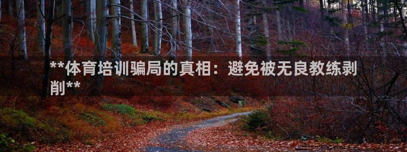 深圳极悦文化传媒有限公司