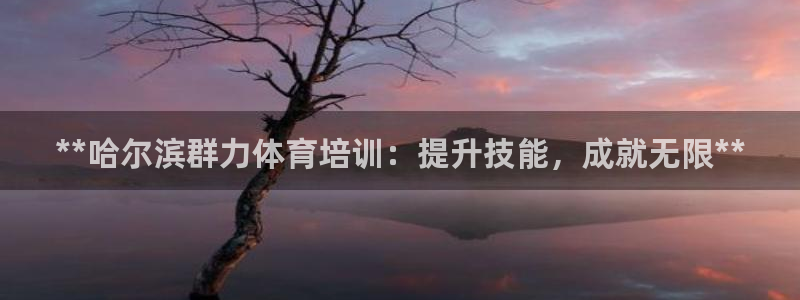 极悦平台注册用户名验证：**哈尔滨群力体育培训：提升