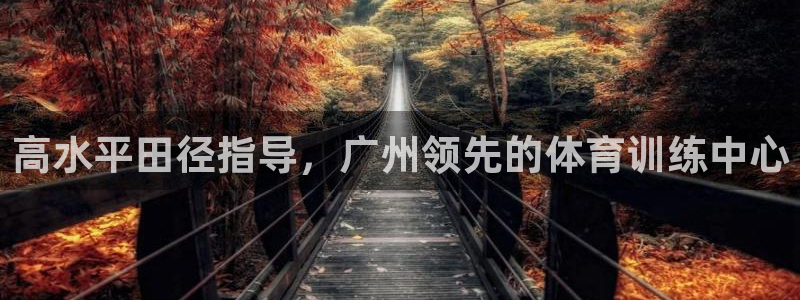 极悦平台登录方式怎么改：高水平田径指导，广州领先的体