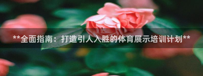 极悦平台是干什么的：**全面指南：打造引人入胜的体育