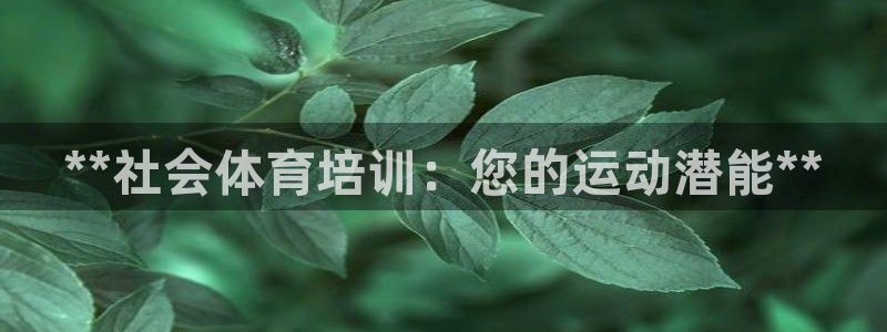 极悦益生菌猫粮怎么样：**社会体育培训：您的运动潜能