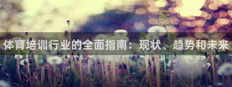 极悦平台非7O777：体育培训行业的全面指南：现状、