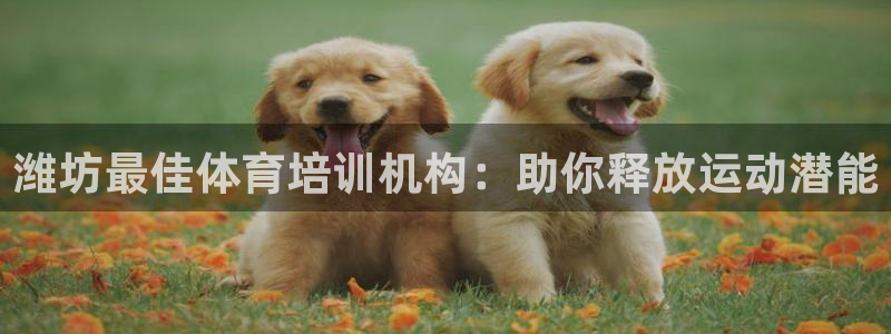 极悦娱乐代理怎么样啊：潍坊最佳体育培训机构：助你释放