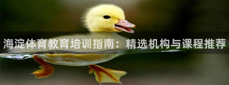 极悦平台注册官网入口：海淀体育教育培训指南：精选机构