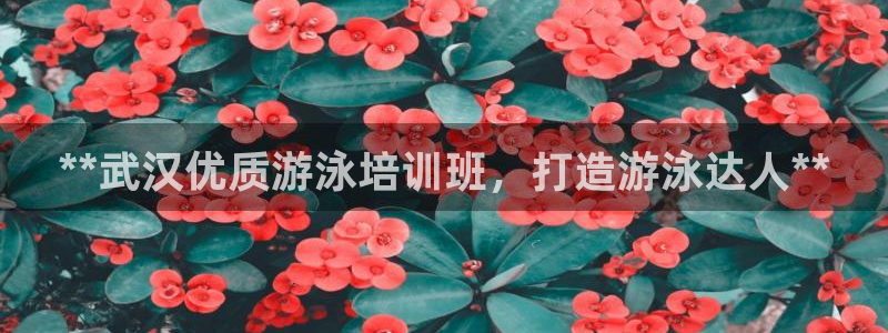 极悦娱乐公司最新招聘信息官网：**武汉优质游泳培训班