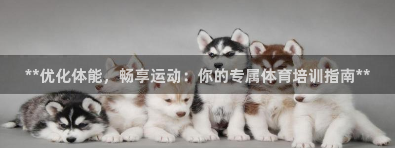 极悦平台官网登录入口网址：**优化体能，畅享运动：你