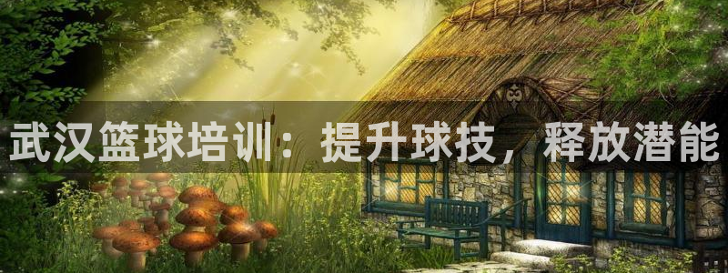 极悦娱乐成7O777：武汉篮球培训：提升球技，释放潜