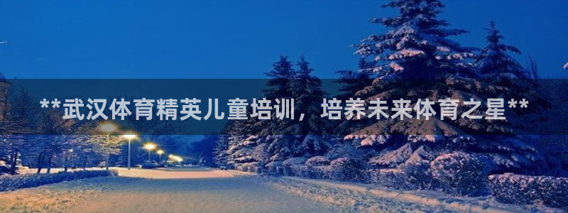 极悦平台用户评价与反馈怎么设置：**武汉体育精英儿童