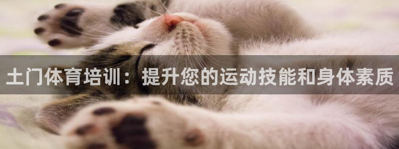 极悦娱乐代理人是谁呀：土门体育培训：提升您的运动技能