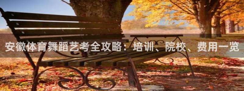 极悦平台登录入口注册不了：安徽体育舞蹈艺考全攻略：培