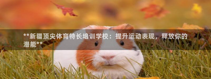 极悦娱乐的创始人背景故事是什么：**新疆顶尖体育特长
