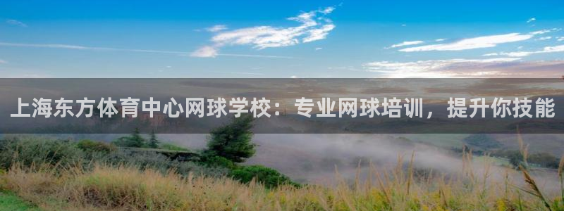 极悦牙膏怎么样好不好：上海东方体育中心网球学校：专业
