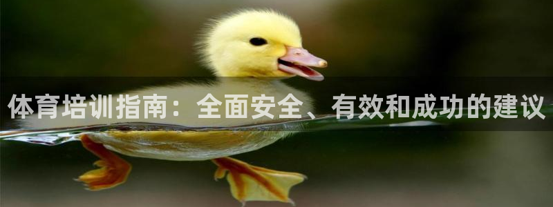 极悦平台官网入口网址：体育培训指南：全面安全、有效和