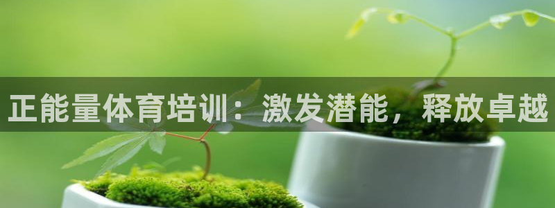 极悦平台官方网站登录：正能量体育培训：激发潜能，释放