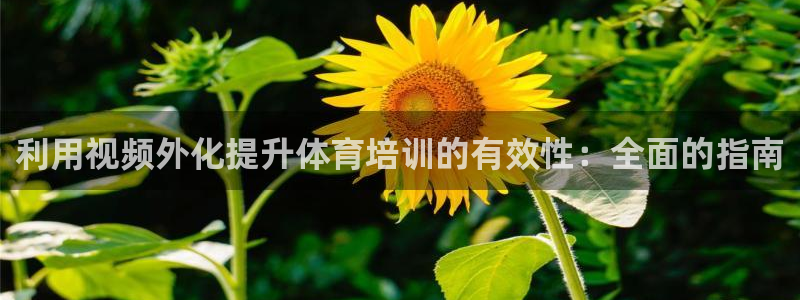 极悦平台官方网址是什么：利用视频外化提升体育培训的有