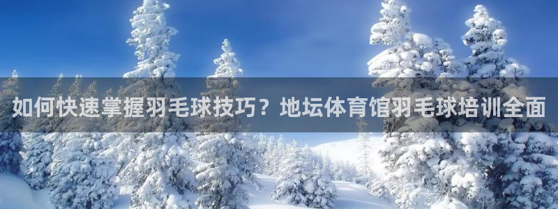 极悦平台登录方式怎么改：如何快速掌握羽毛球技巧？地坛