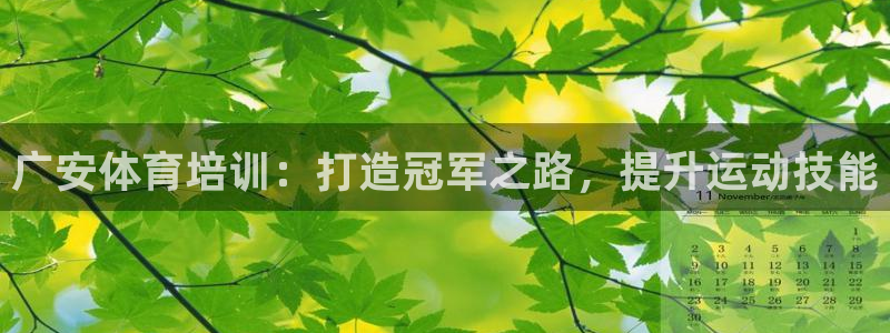 极悦平台与网易合作详情在哪：广安体育培训：打造冠军之