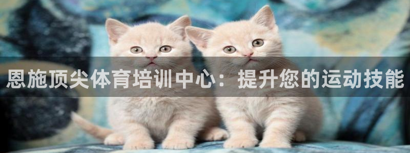 极悦平台是干什么的：恩施顶尖体育培训中心：提升您的运