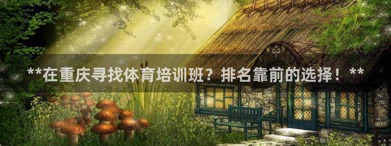 极悦益生菌猫粮怎么样：**在重庆寻找体育培训班？排名