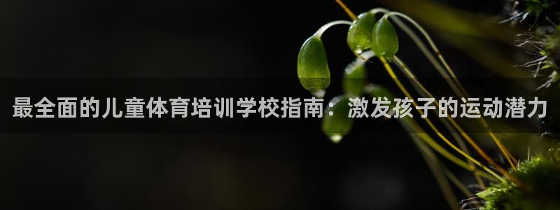 极悦娱乐负责人：最全面的儿童体育培训学校指南：激发孩