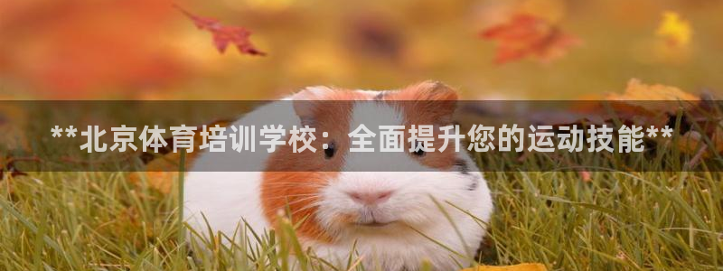 加盟极悦教育要多少钱：**北京体育培训学校：全面提升