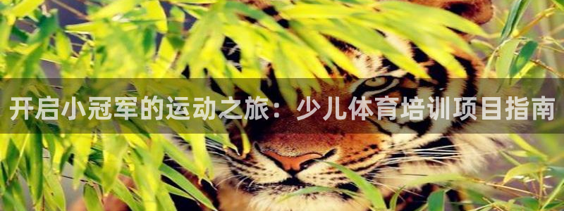 极悦平台官网登录：开启小冠军的运动之旅：少儿体育培训