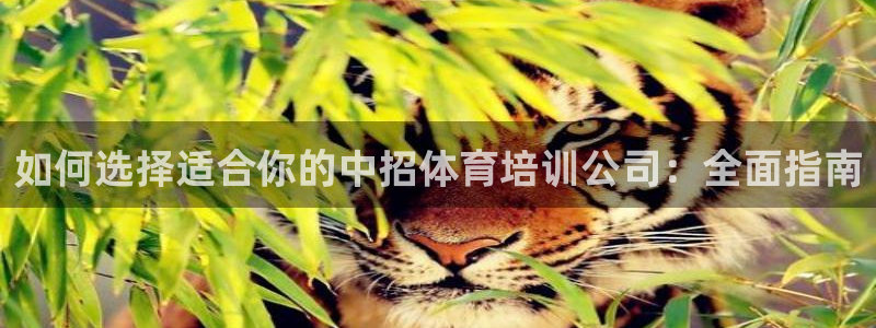 加盟极悦教育：如何选择适合你的中招体育培训公司：全面
