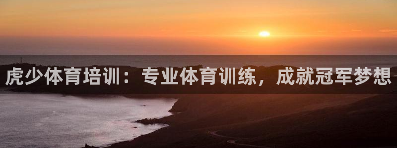 极悦娱乐管理最建议买吗：虎少体育培训：专业体育训练，