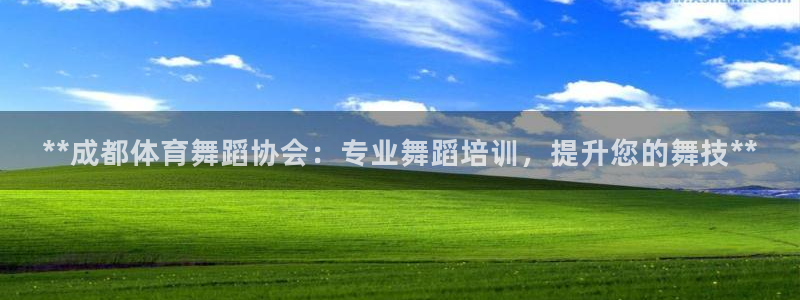 极悦官方网站入口：**成都体育舞蹈协会：专业舞蹈培训