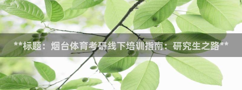极悦官网首页登录入口网址：**标题：烟台体育考研线下