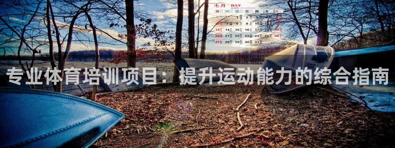 极悦平台官网登录入口网址查询：专业体育培训项目：提升
