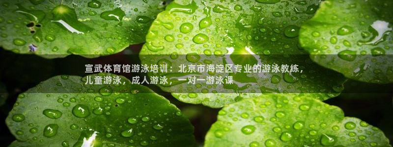 极悦平台app安全吗可靠吗：宣武体育馆游泳培训：北京