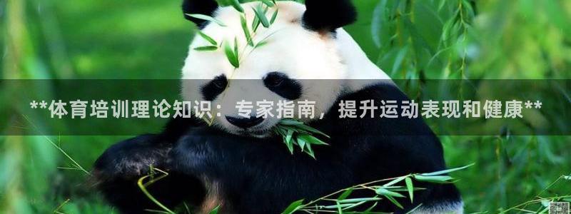 极悦官网：**体育培训理论知识：专家指南，提升运动表