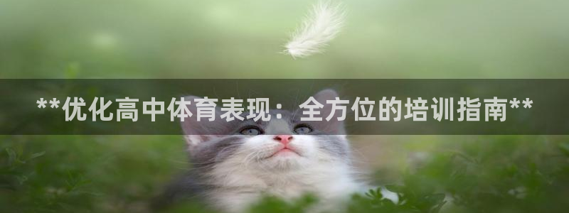 极悦娱乐的背景和历史背景介绍：**优化高中体育表现：