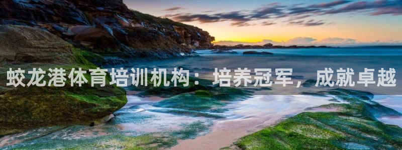 极悦平台官方网站入口链接下载：蛟龙港体育培训机构：培