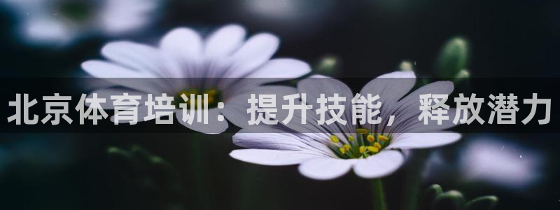 极悦平台app安全吗是真的吗：北京体育培训：提升技能
