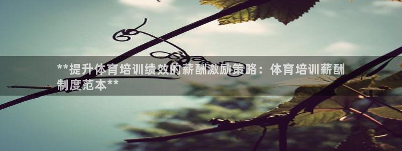 极悦平台代理怎么样可靠吗：**提升体育培训绩效的薪酬