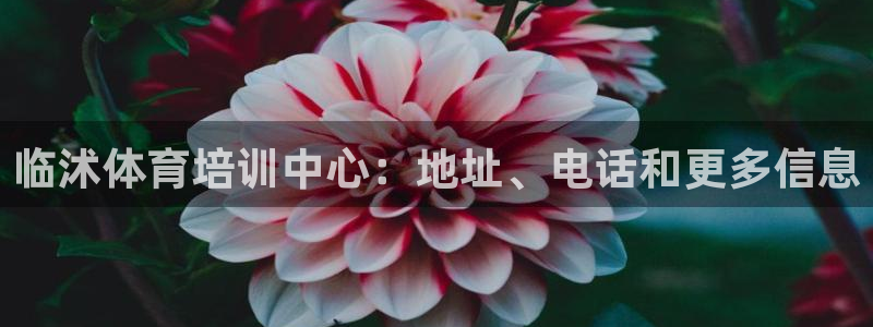 极悦平台代理怎么赚钱：临沭体育培训中心：地址、电话和