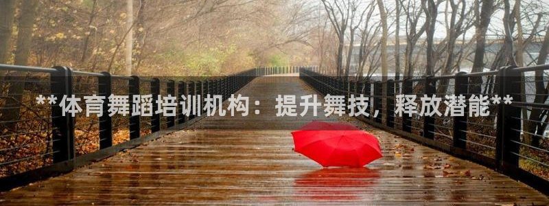 极悦平台注册流程视频：**体育舞蹈培训机构：提升舞技，释放潜