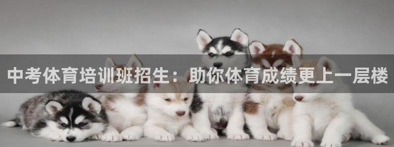 极悦平台安全吗可靠吗：中考体育培训班招生：助你体育成