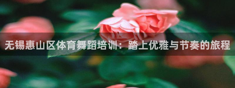 极悦平台注册流程详解：无锡惠山区体育舞蹈培训：踏上优