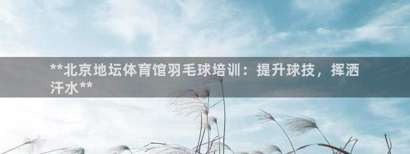 极悦平台app安全吗是真的吗：**北京地坛体育馆羽毛