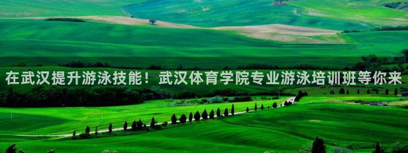 极悦牙膏怎么样好用吗：在武汉提升游泳技能！武汉体育学