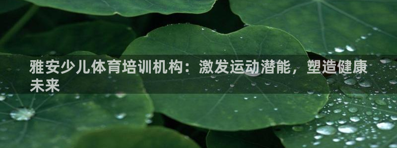 极悦官网注册最新版本更新内容：雅安少儿体育培训机构：
