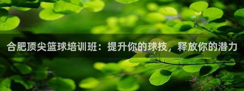 极悦平台用户评价与反馈在哪里：合肥顶尖篮球培训班：提