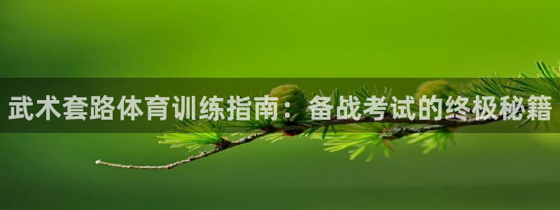 极悦娱乐app官方版本更新内容下载：武术套路体育训练